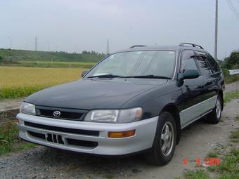 1996 Toyota Corolla Wagon