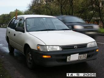 1997 Toyota Corolla Wagon