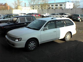 1997 Toyota Corolla Wagon