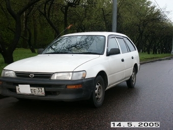 1997 Toyota Corolla Wagon