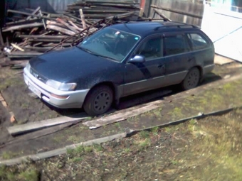 1997 Toyota Corolla Wagon