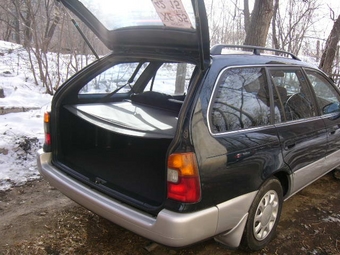 Corolla Wagon