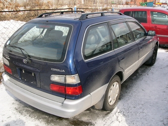 Toyota Corolla Wagon