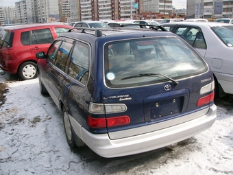 Toyota Corolla Wagon