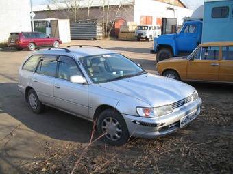 1997 Toyota Corolla Wagon