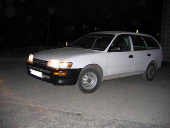 Toyota Corolla Wagon