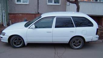 Corolla Wagon