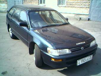 1997 Toyota Corolla Wagon