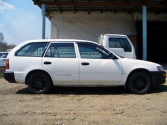 Toyota Corolla Wagon