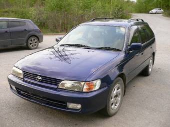 1997 Toyota Corolla Wagon