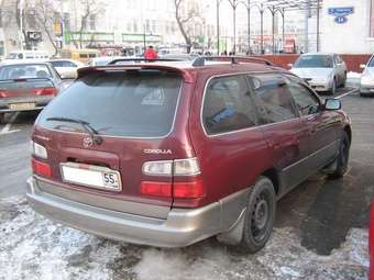 Corolla Wagon