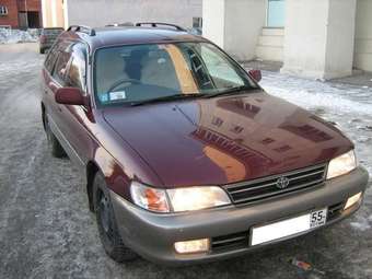 Toyota Corolla Wagon