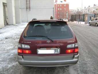 Toyota Corolla Wagon