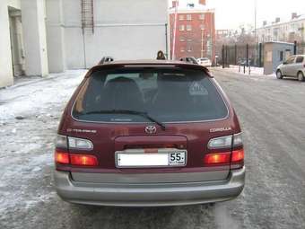 Toyota Corolla Wagon