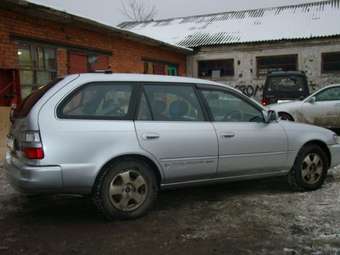 1997 Toyota Corolla Wagon