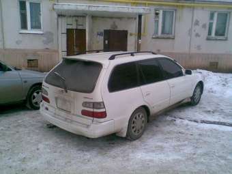 Toyota Corolla Wagon