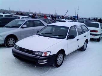 1997 Toyota Corolla Wagon