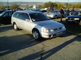 1997 Toyota Corolla Wagon