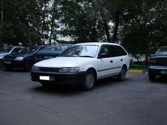 1997 Toyota Corolla Wagon Pictures