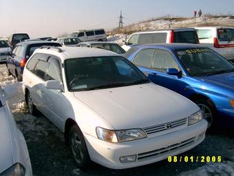 1998 Toyota Corolla Wagon