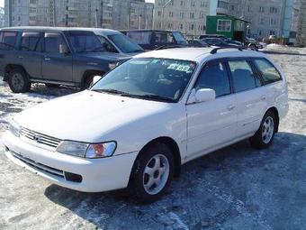 1998 Toyota Corolla Wagon