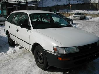 1998 Toyota Corolla Wagon