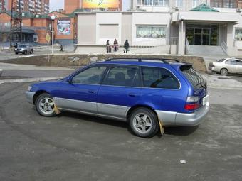 1998 Toyota Corolla Wagon