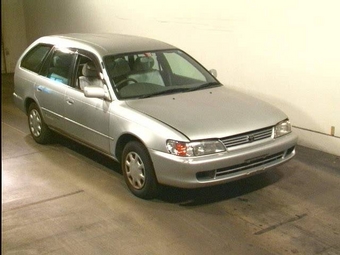 1998 Toyota Corolla Wagon