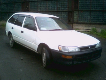 1998 Toyota Corolla Wagon