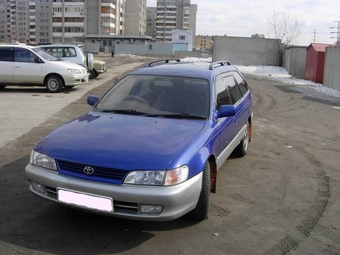 1998 Toyota Corolla Wagon