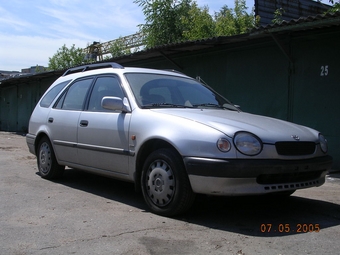 1998 Toyota Corolla Wagon