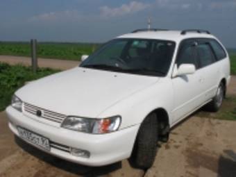 1998 Toyota Corolla Wagon