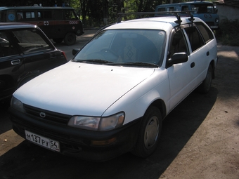 1998 Toyota Corolla Wagon