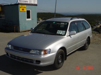 1998 Toyota Corolla Wagon