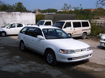 1998 Toyota Corolla Wagon