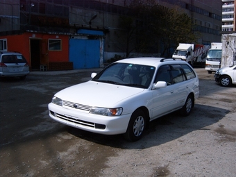 1998 Toyota Corolla Wagon