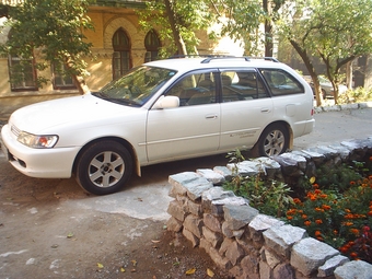 1998 Toyota Corolla Wagon