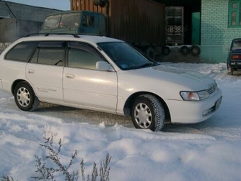 1998 Toyota Corolla Wagon