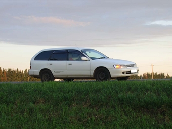 1998 Toyota Corolla Wagon