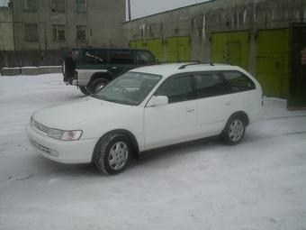 1998 Toyota Corolla Wagon