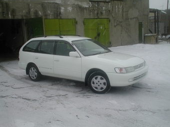 Corolla Wagon