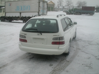 Toyota Corolla Wagon