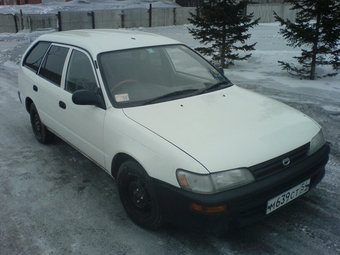 1998 Toyota Corolla Wagon