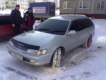 1998 Toyota Corolla Wagon