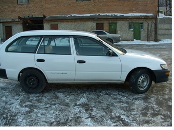 1998 Toyota Corolla Wagon