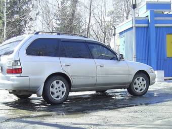 1998 Toyota Corolla Wagon