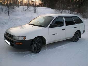 Corolla Wagon