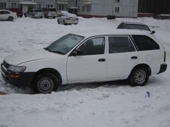 Corolla Wagon