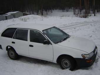 Toyota Corolla Wagon