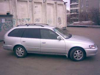 1998 Toyota Corolla Wagon